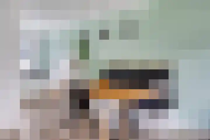 Langshanlaan 27 Barneveld thumbnail 8