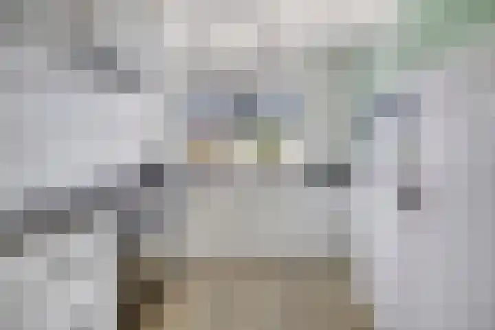 Langshanlaan 27 Barneveld thumbnail 9