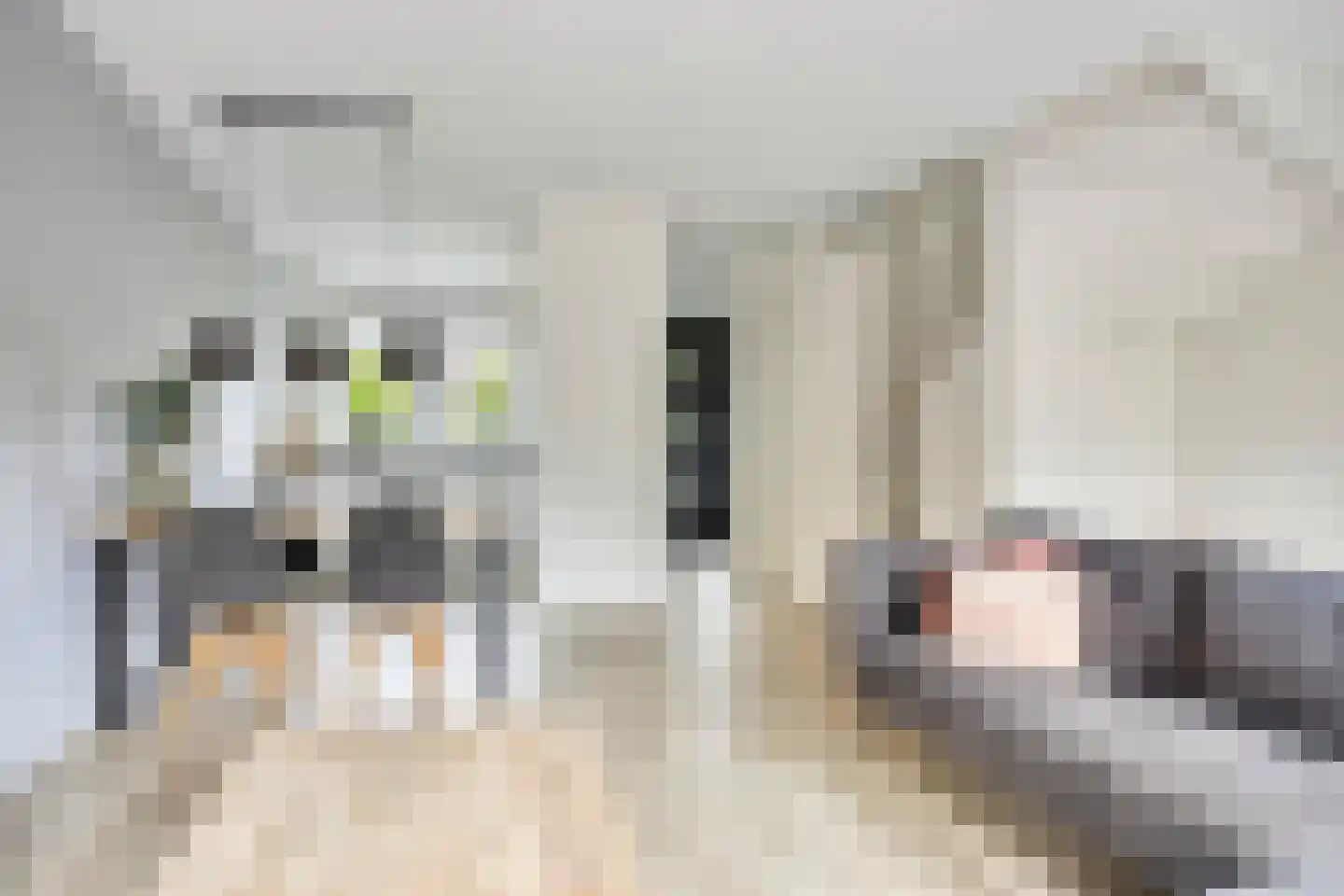 Langshanlaan 29 Barneveld thumbnail 7