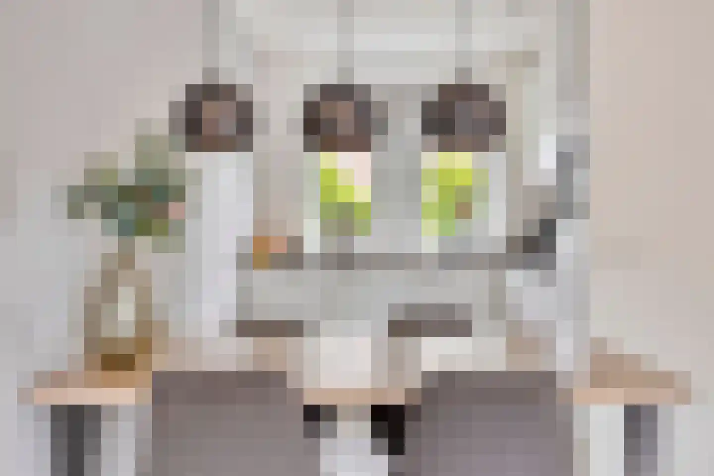 Langshanlaan 29 Barneveld thumbnail 8