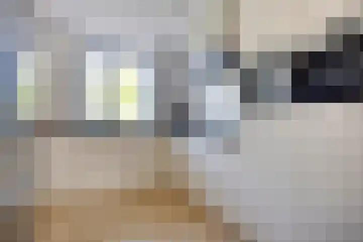 Langshanlaan 32 Barneveld thumbnail 13