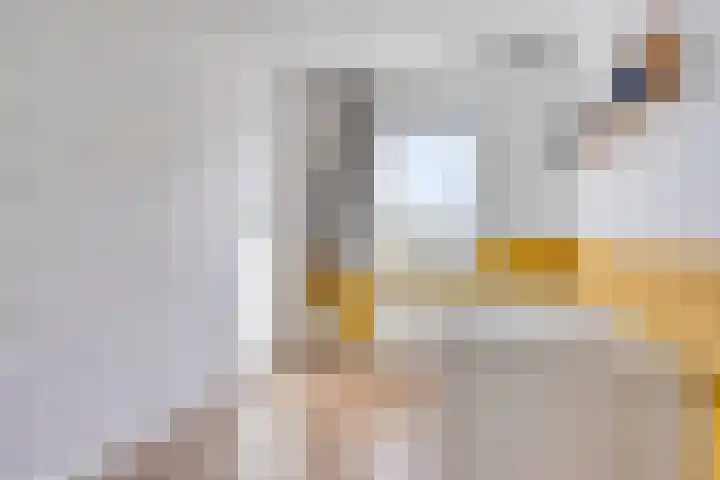 Langshanlaan 32 Barneveld thumbnail 21