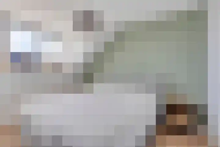 Langshanlaan 32 Barneveld thumbnail 25