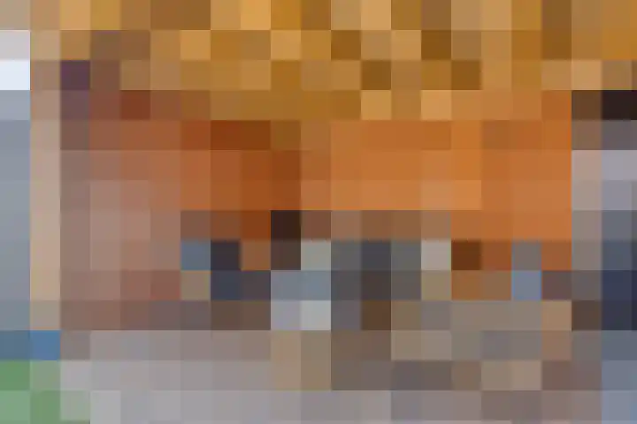 Langshanlaan 32 Barneveld thumbnail 31