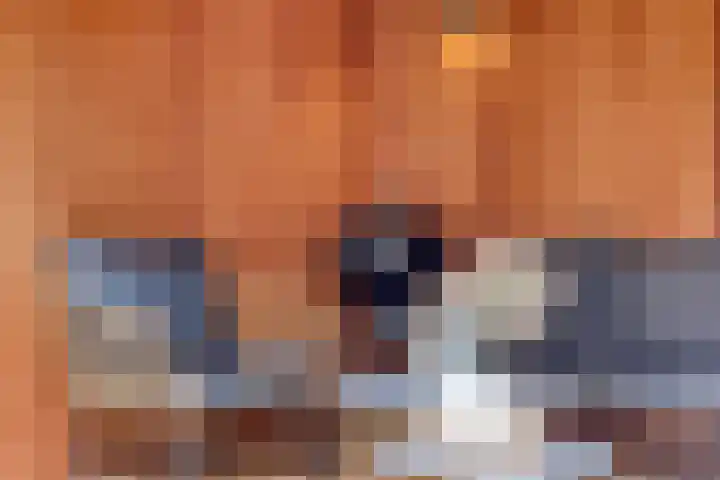 Langshanlaan 32 Barneveld thumbnail 32