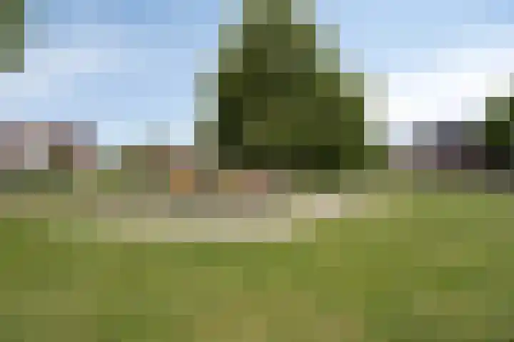 Langshanlaan 32 Barneveld thumbnail 34