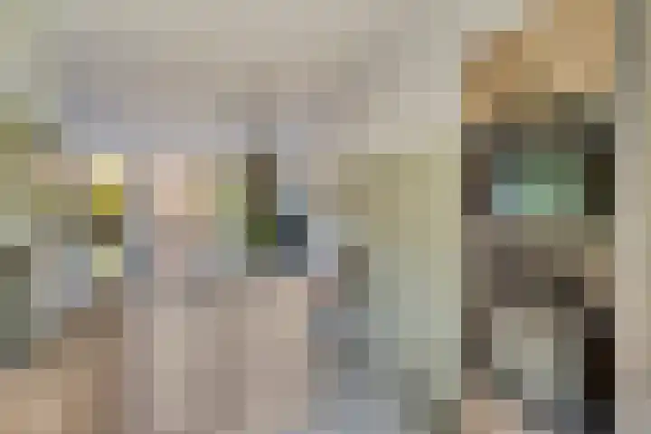 Langshanlaan 33 Barneveld thumbnail 10