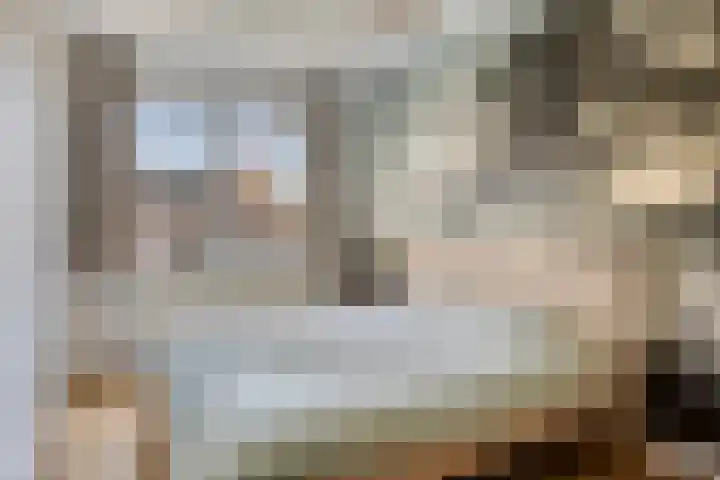 Langshanlaan 33 Barneveld thumbnail 12