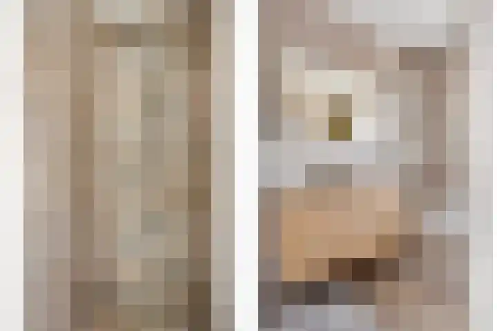 Langshanlaan 33 Barneveld thumbnail 18