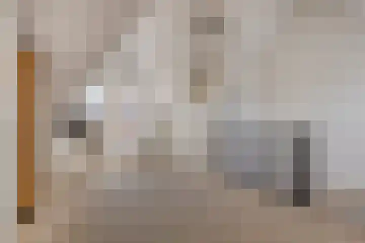Langshanlaan 33 Barneveld thumbnail 19