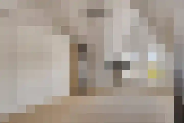 Langshanlaan 33 Barneveld thumbnail 20