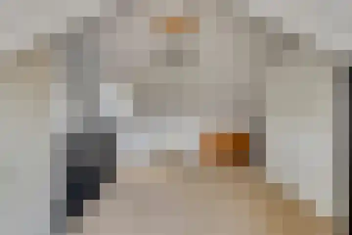 Langshanlaan 33 Barneveld thumbnail 22