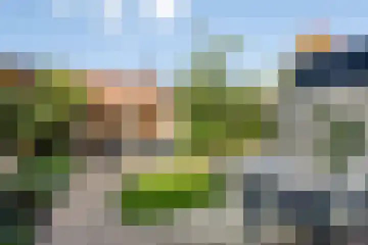 Langshanlaan 33 Barneveld thumbnail 23