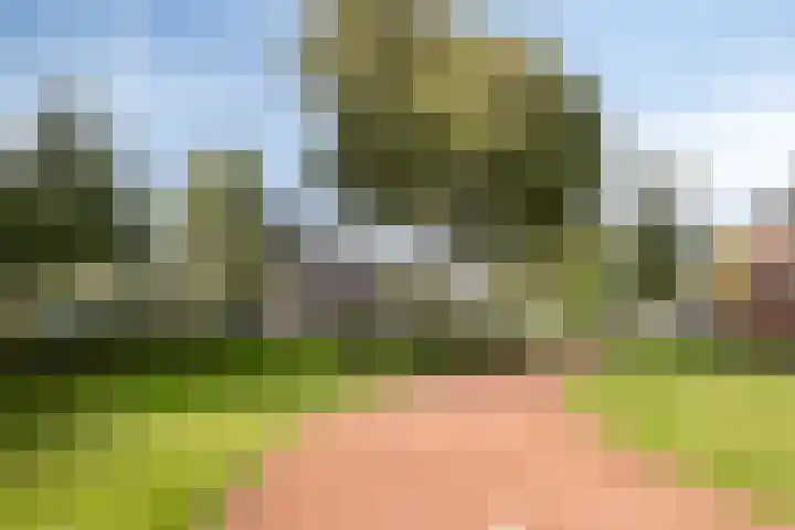 Langshanlaan 33 Barneveld thumbnail 28