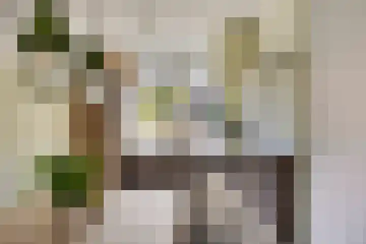 Langshanlaan 33 Barneveld thumbnail 9