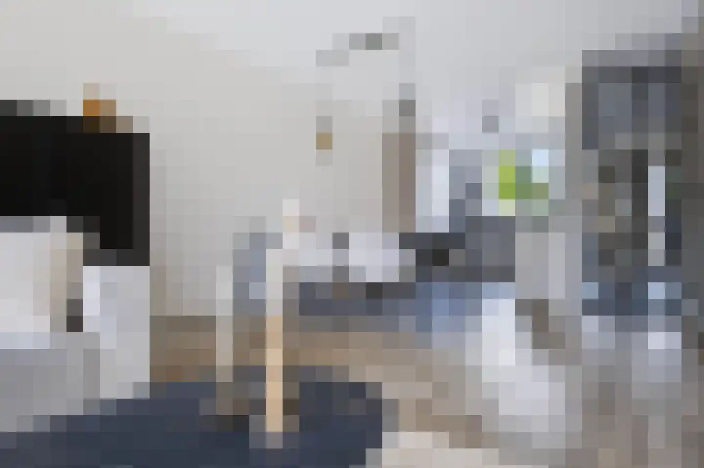 Langshanlaan 34 Barneveld thumbnail 15
