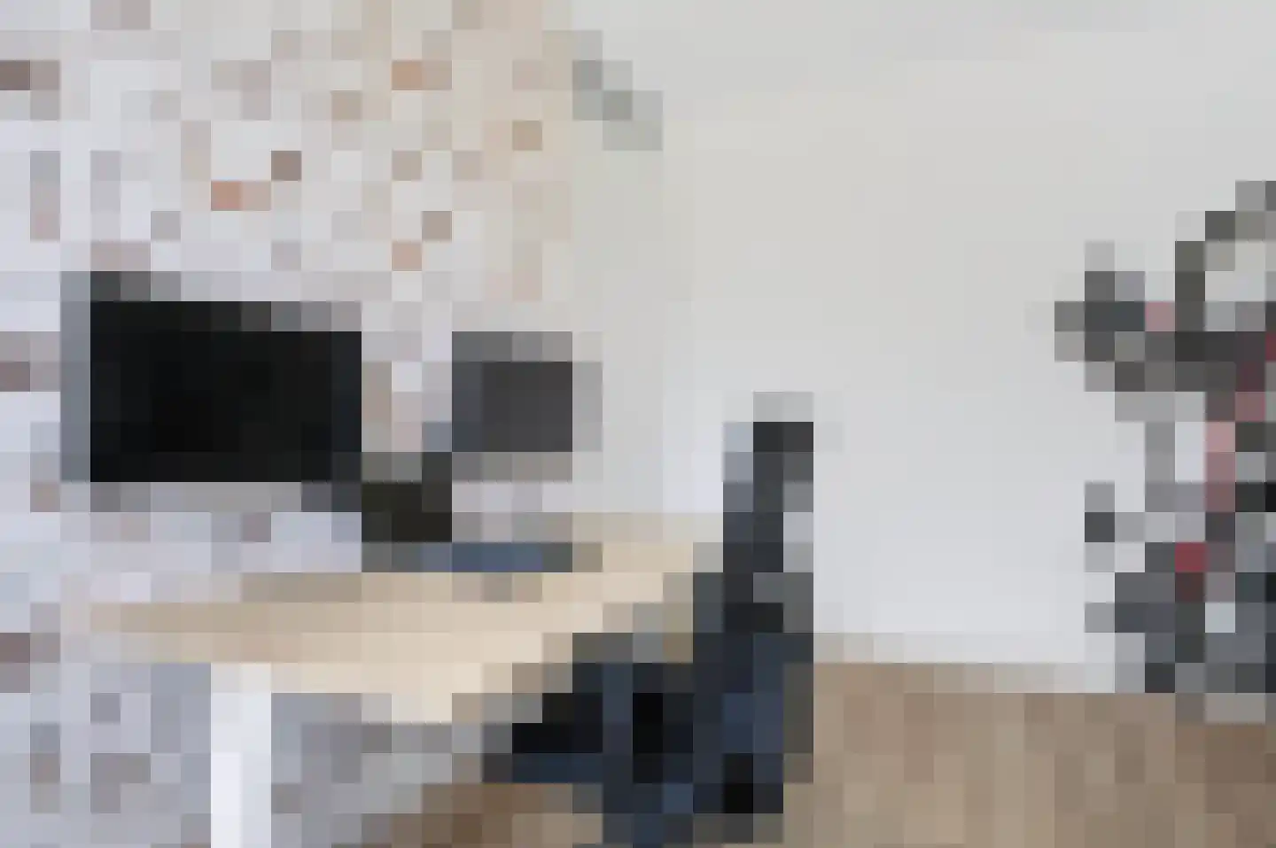 Langshanlaan 34 Barneveld thumbnail 25
