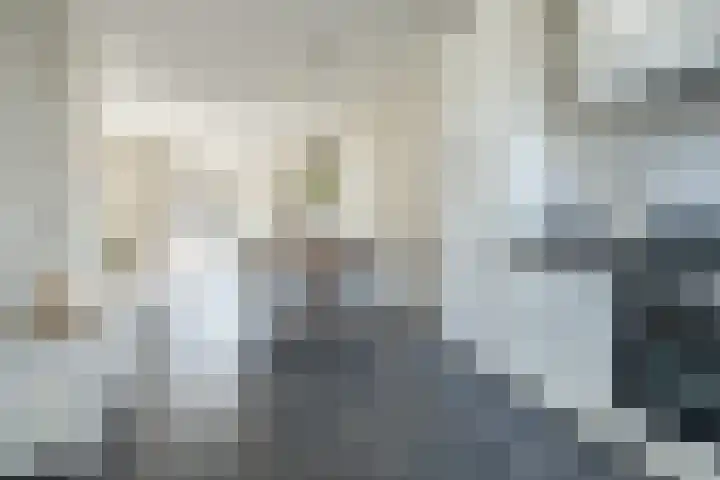 Langshanlaan 60 Barneveld thumbnail 11