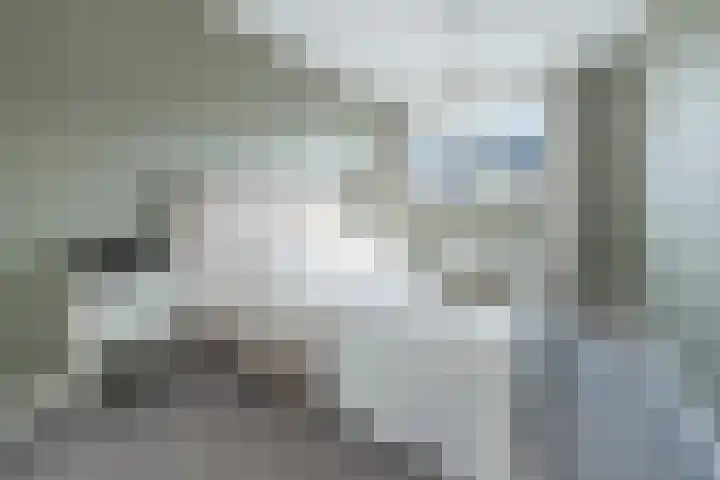 Langshanlaan 60 Barneveld thumbnail 18