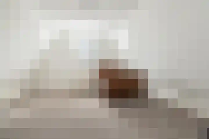 Langshanlaan 60 Barneveld thumbnail 29