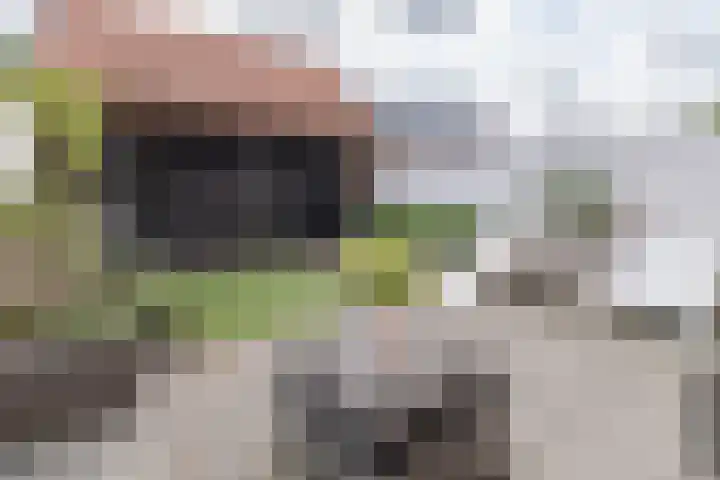 Langshanlaan 60 Barneveld thumbnail 37