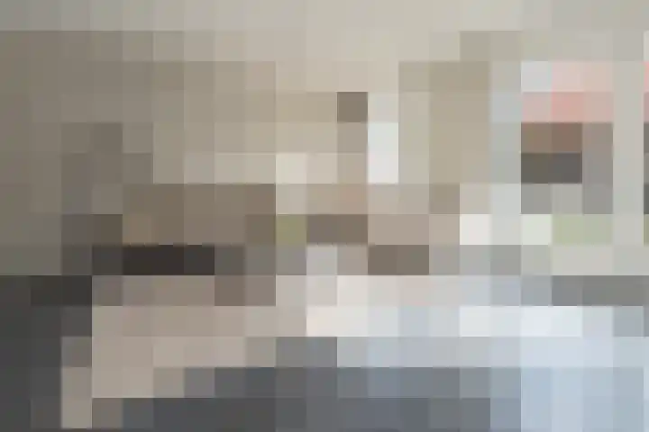 Langshanlaan 60 Barneveld thumbnail 4