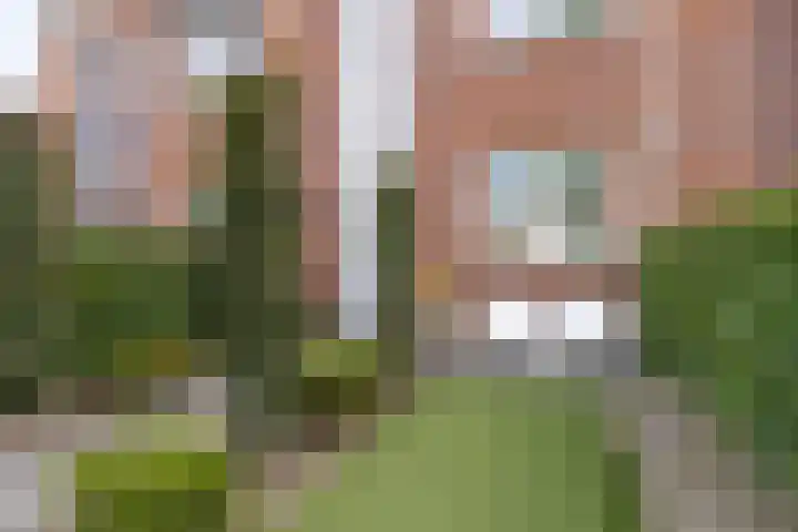 Langshanlaan 60 Barneveld thumbnail 40