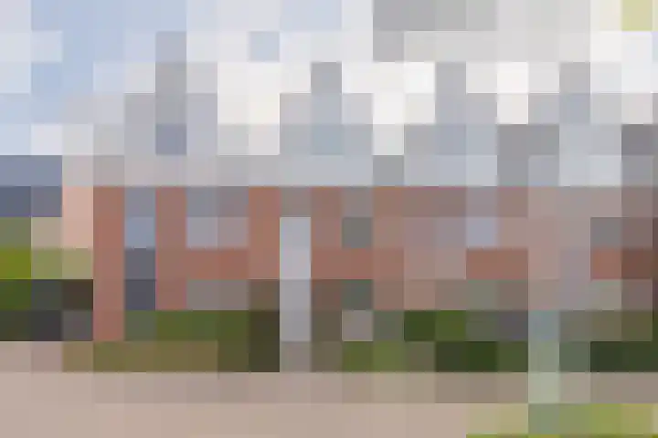 Langshanlaan 60 Barneveld thumbnail 44
