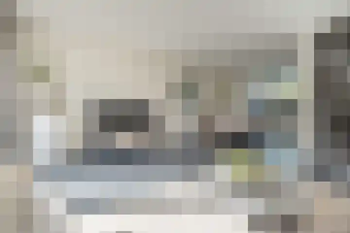 Langshanlaan 60 Barneveld thumbnail 5