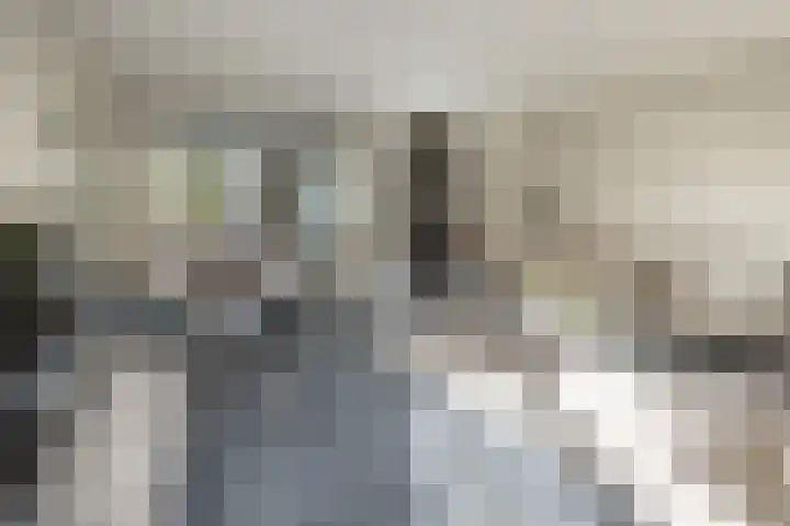 Langshanlaan 60 Barneveld thumbnail 7