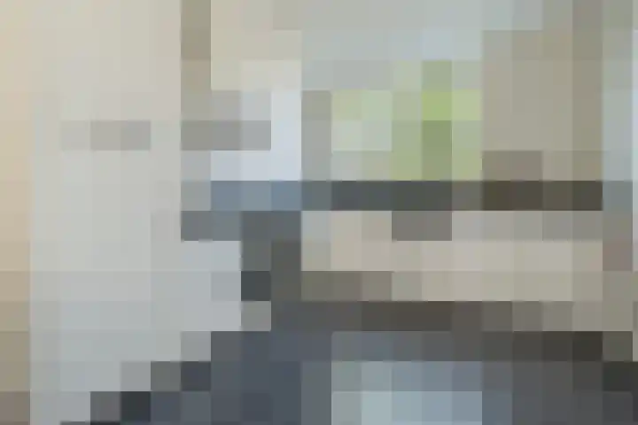 Langshanlaan 60 Barneveld thumbnail 9