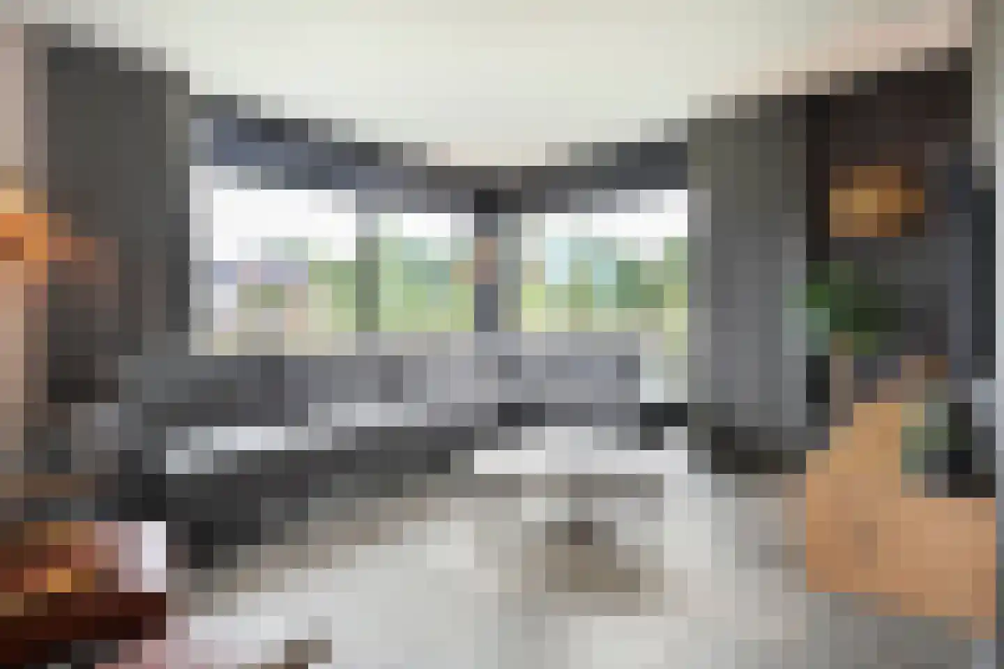 Langshelling 7 Dedemsvaart thumbnail 10