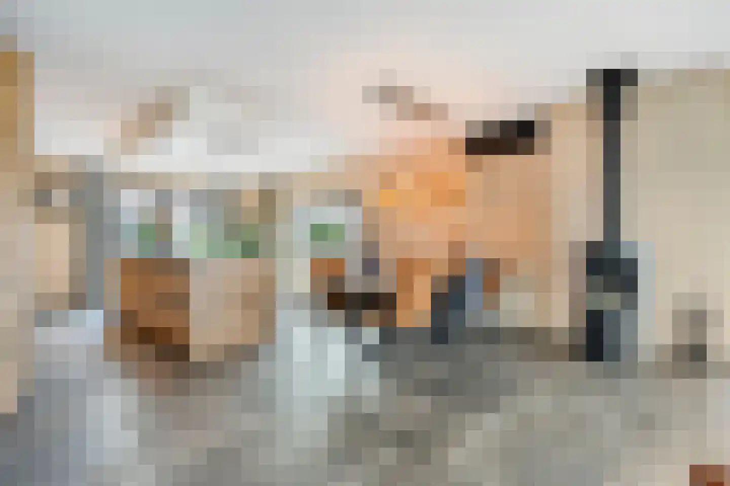 Langshelling 7 Dedemsvaart thumbnail 12
