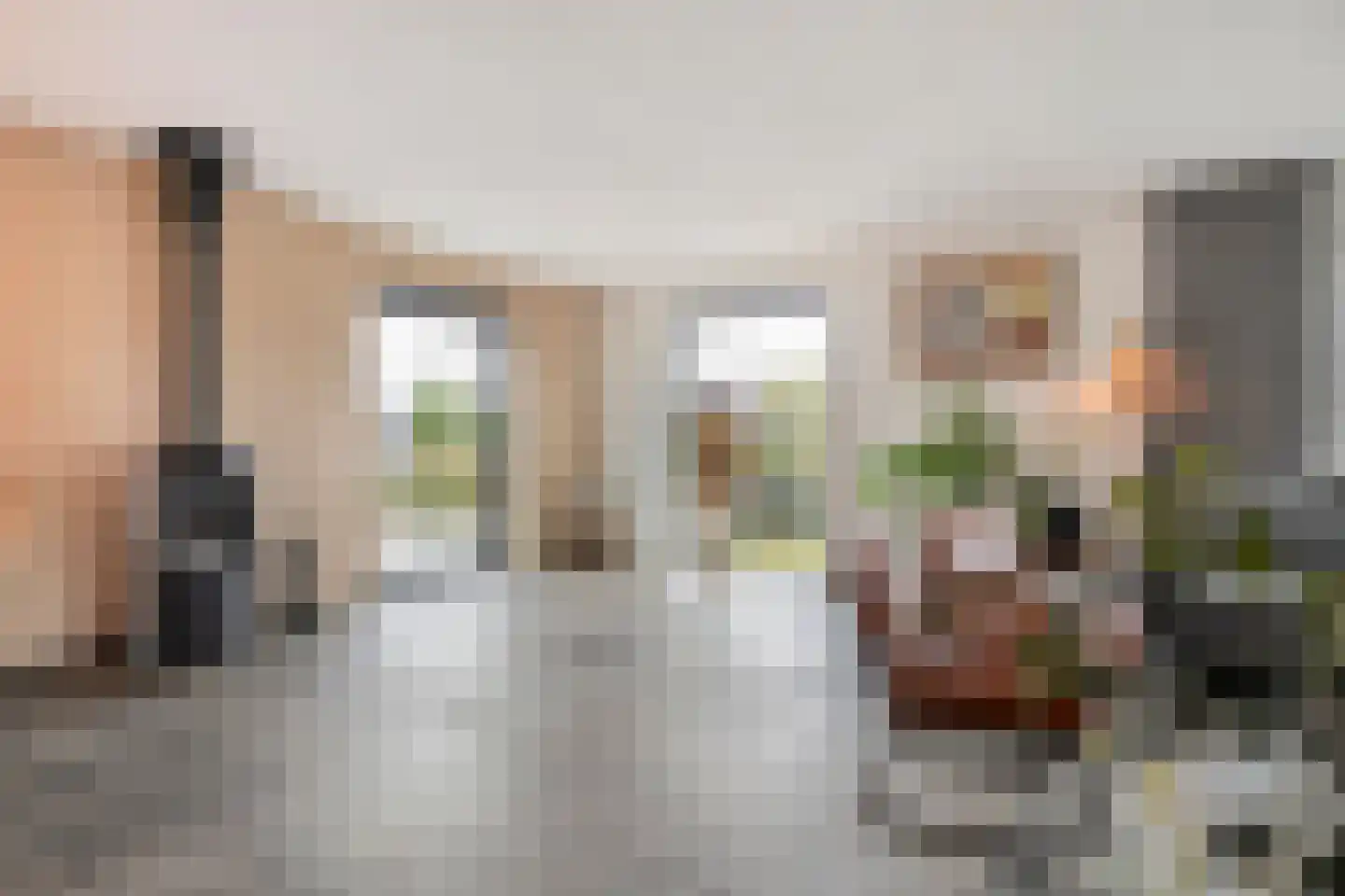 Langshelling 7 Dedemsvaart thumbnail 13