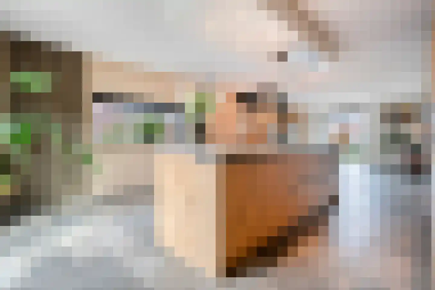 Langshelling 7 Dedemsvaart thumbnail 16