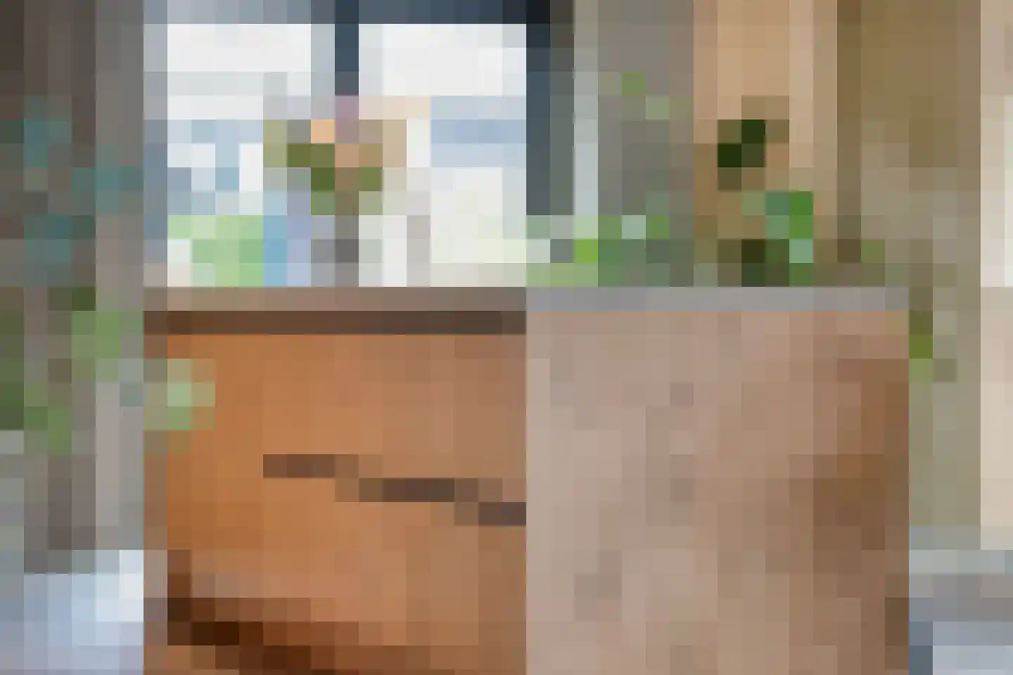 Langshelling 7 Dedemsvaart thumbnail 19