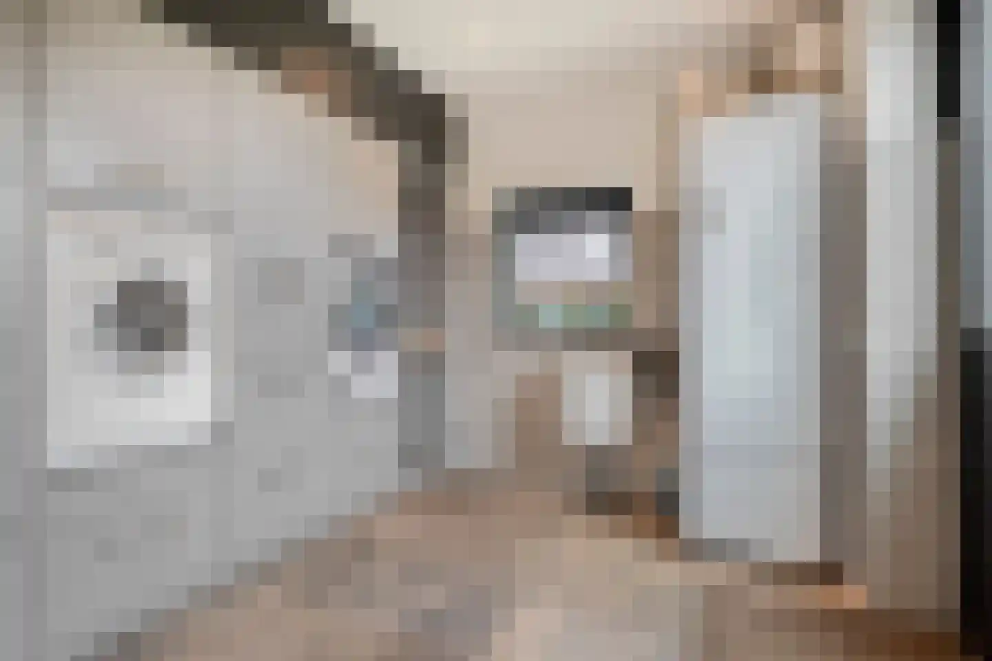 Langshelling 7 Dedemsvaart thumbnail 22