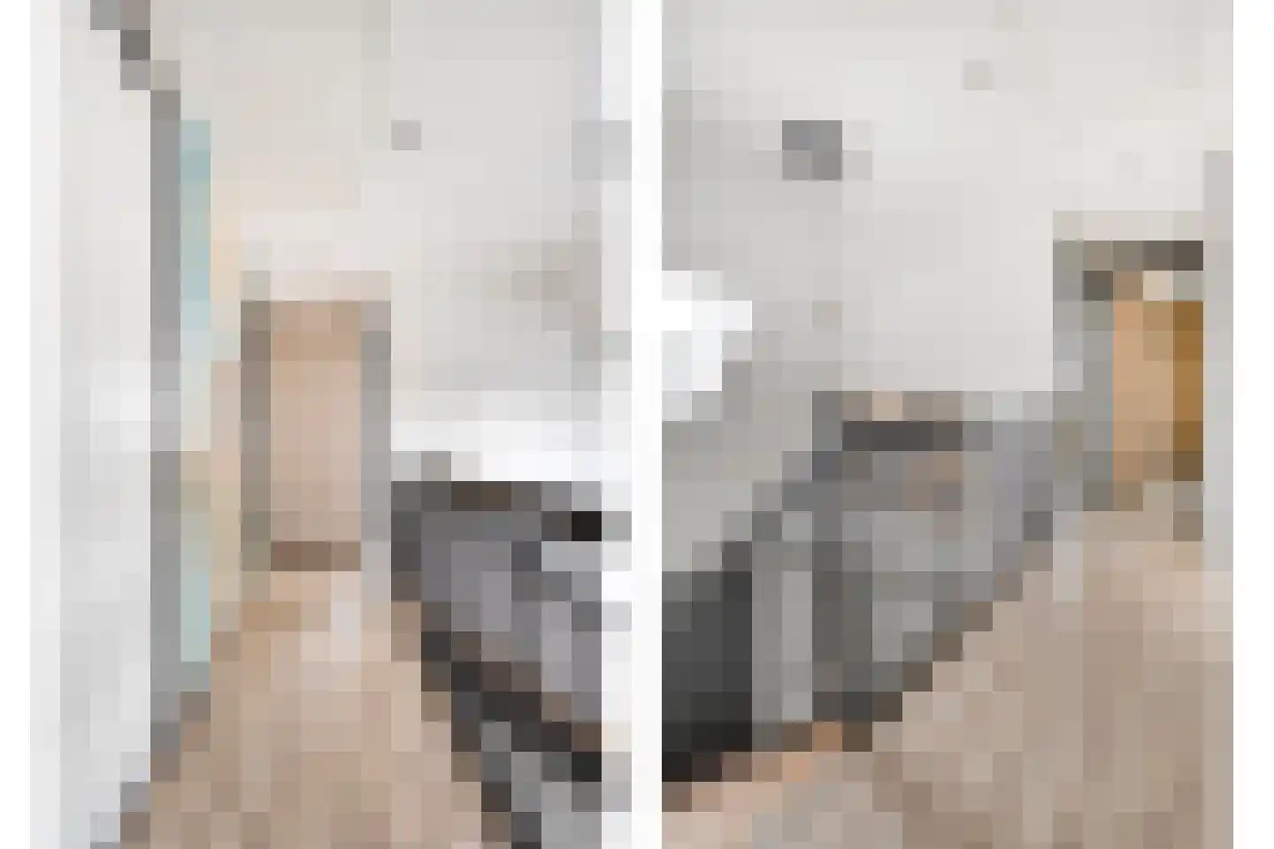 Langshelling 7 Dedemsvaart thumbnail 24