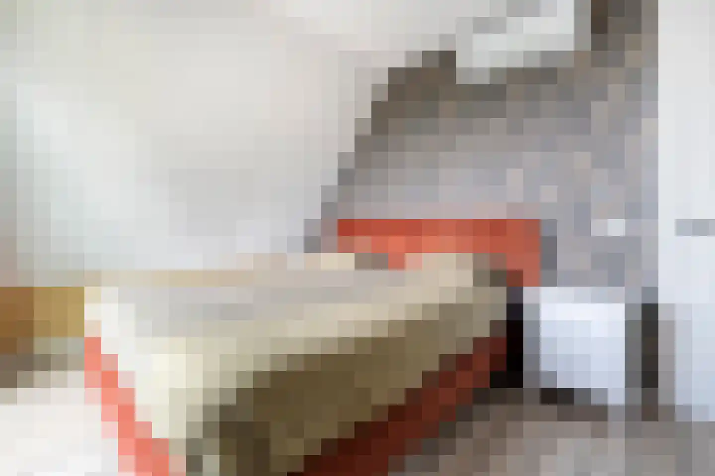 Langshelling 7 Dedemsvaart thumbnail 27