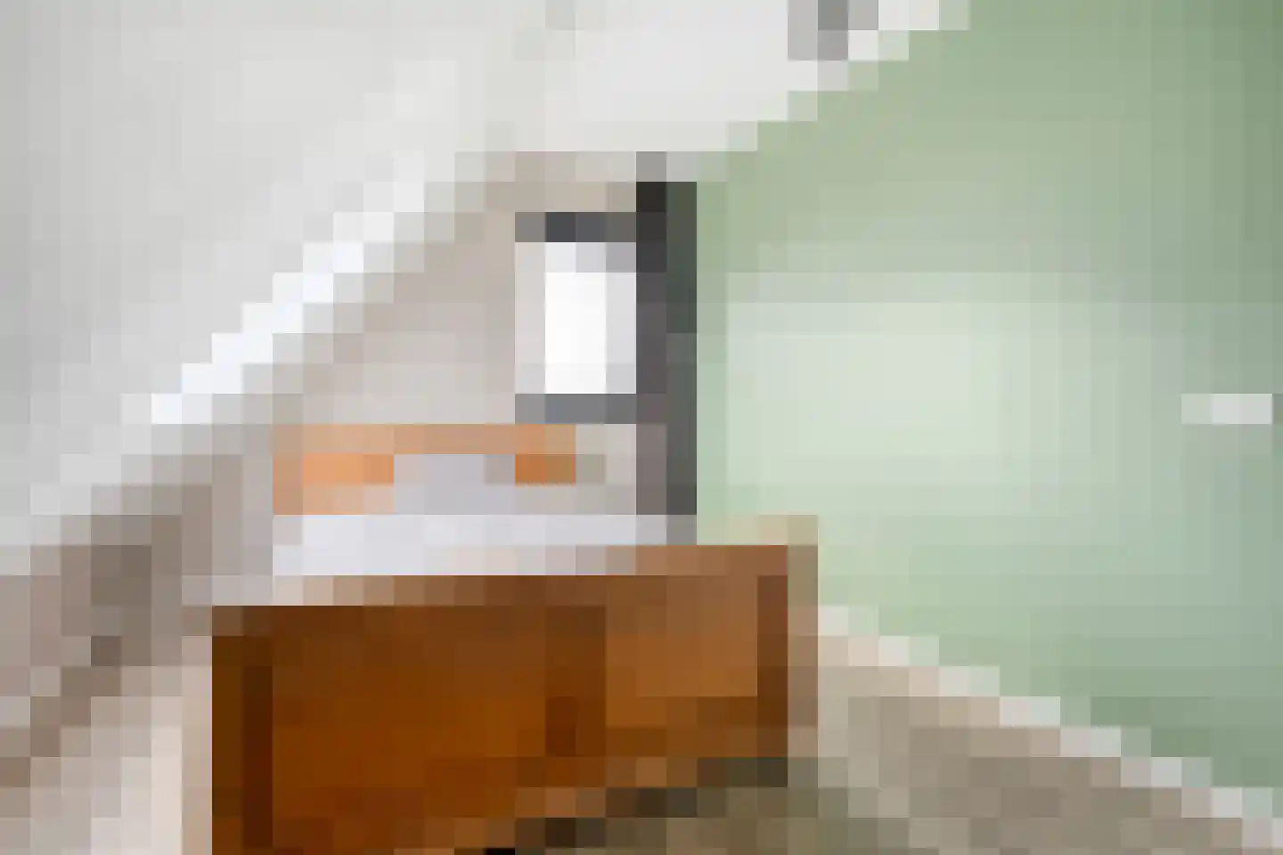 Langshelling 7 Dedemsvaart thumbnail 29