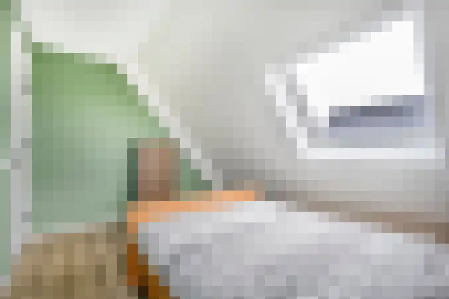 Langshelling 7 Dedemsvaart thumbnail 30