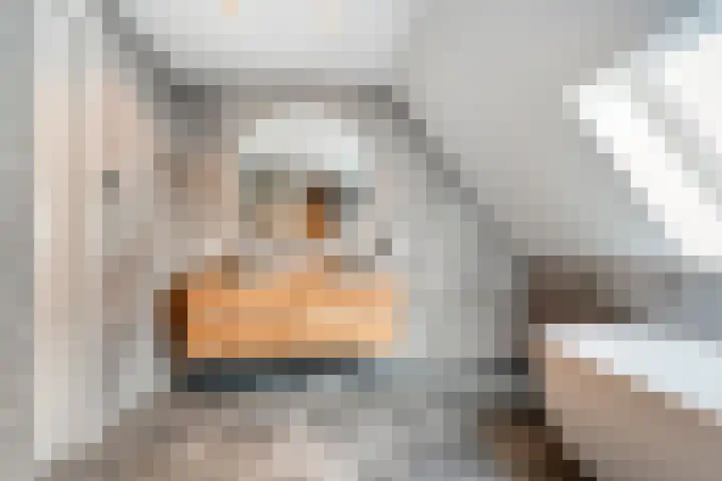 Langshelling 7 Dedemsvaart thumbnail 31