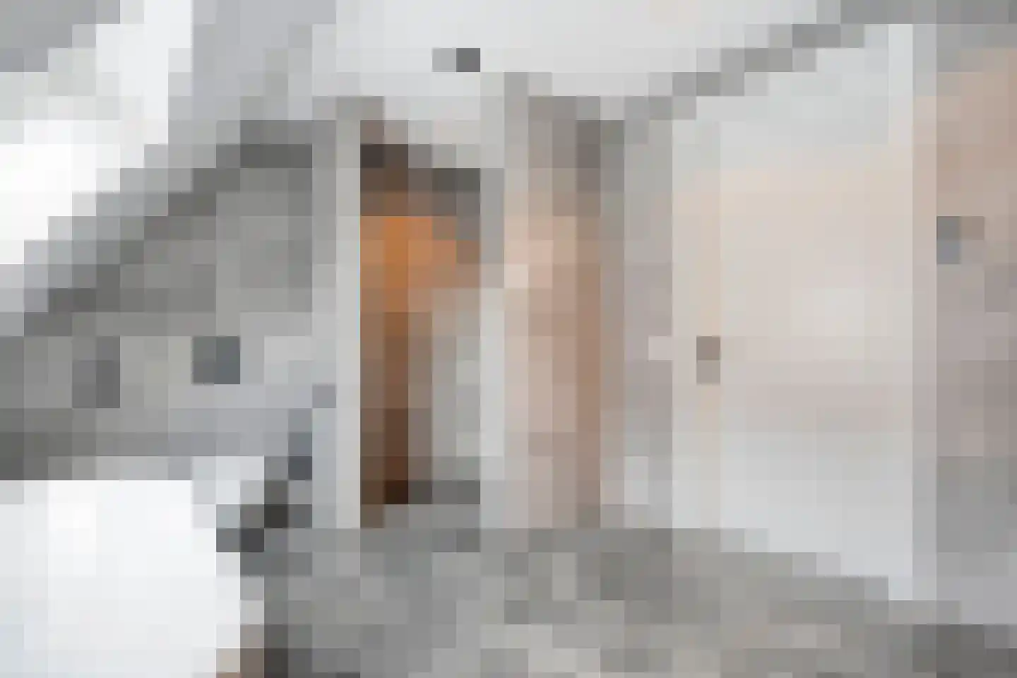 Langshelling 7 Dedemsvaart thumbnail 32