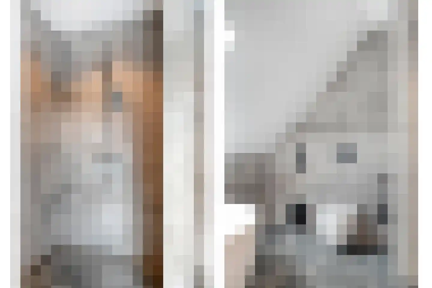 Langshelling 7 Dedemsvaart thumbnail 33