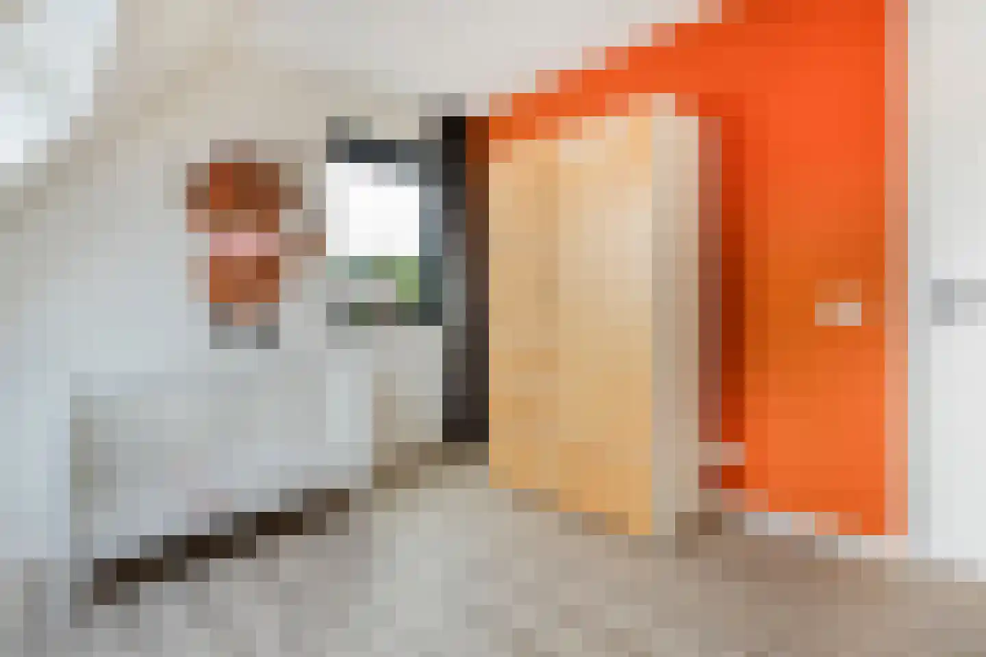 Langshelling 7 Dedemsvaart thumbnail 35