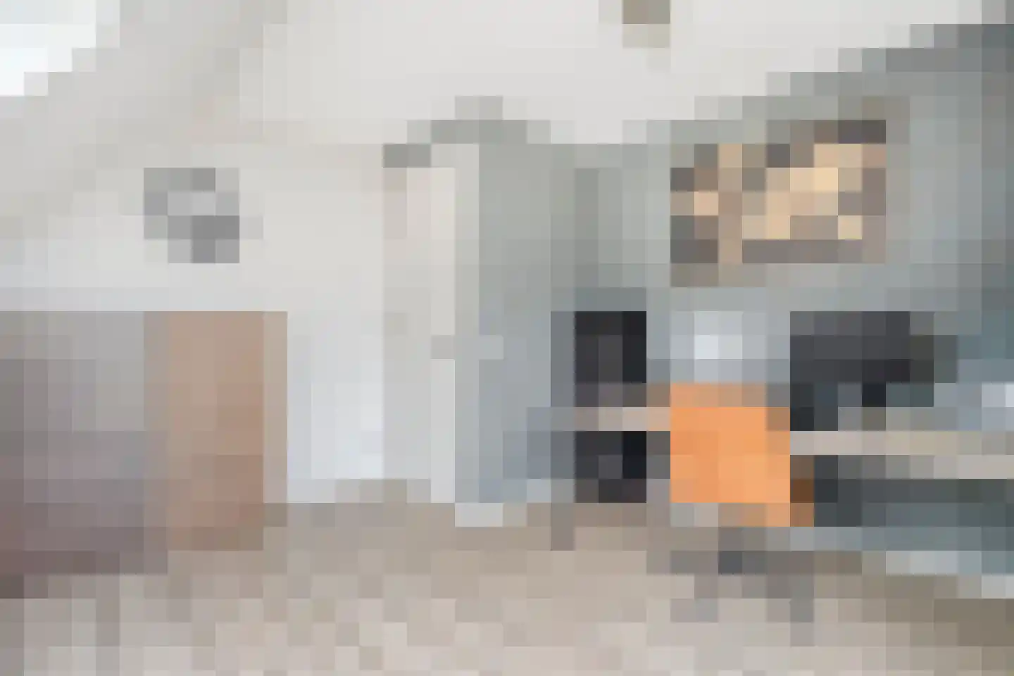 Langshelling 7 Dedemsvaart thumbnail 37