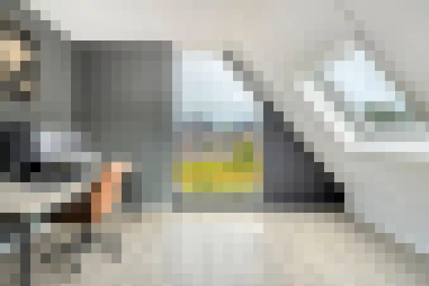 Langshelling 7 Dedemsvaart thumbnail 38