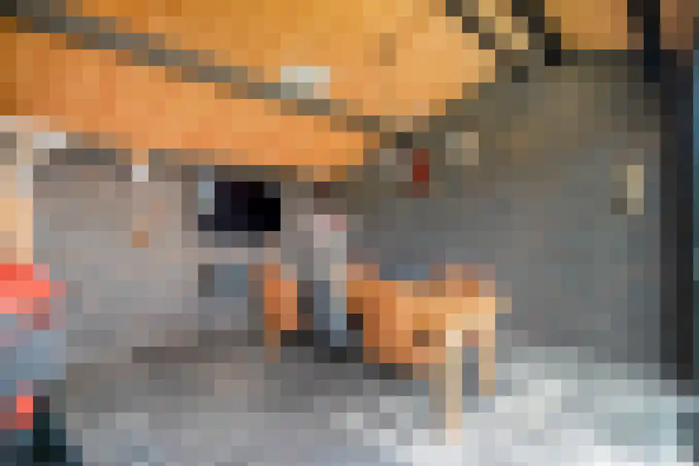 Langshelling 7 Dedemsvaart thumbnail 43