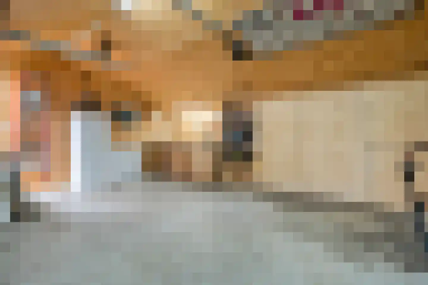 Langshelling 7 Dedemsvaart thumbnail 45