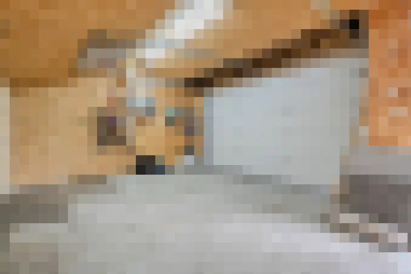 Langshelling 7 Dedemsvaart thumbnail 46